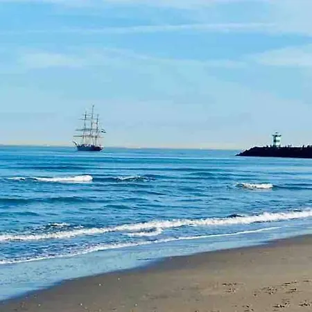 5stars In A Shared Flat By The Beach, The Dunes And The Harbor Accommodatie bij particulieren