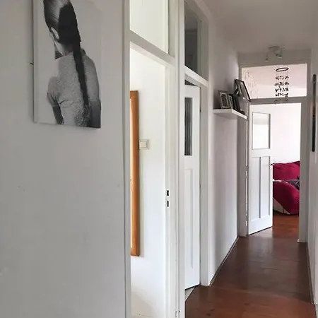 5stars In A Shared Flat By The Beach, The Dunes And The Harbor * Den Haag