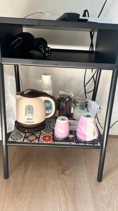 5stars In A Shared Flat By The Beach, The Dunes And The Harbor Accommodatie bij particulieren Den Haag