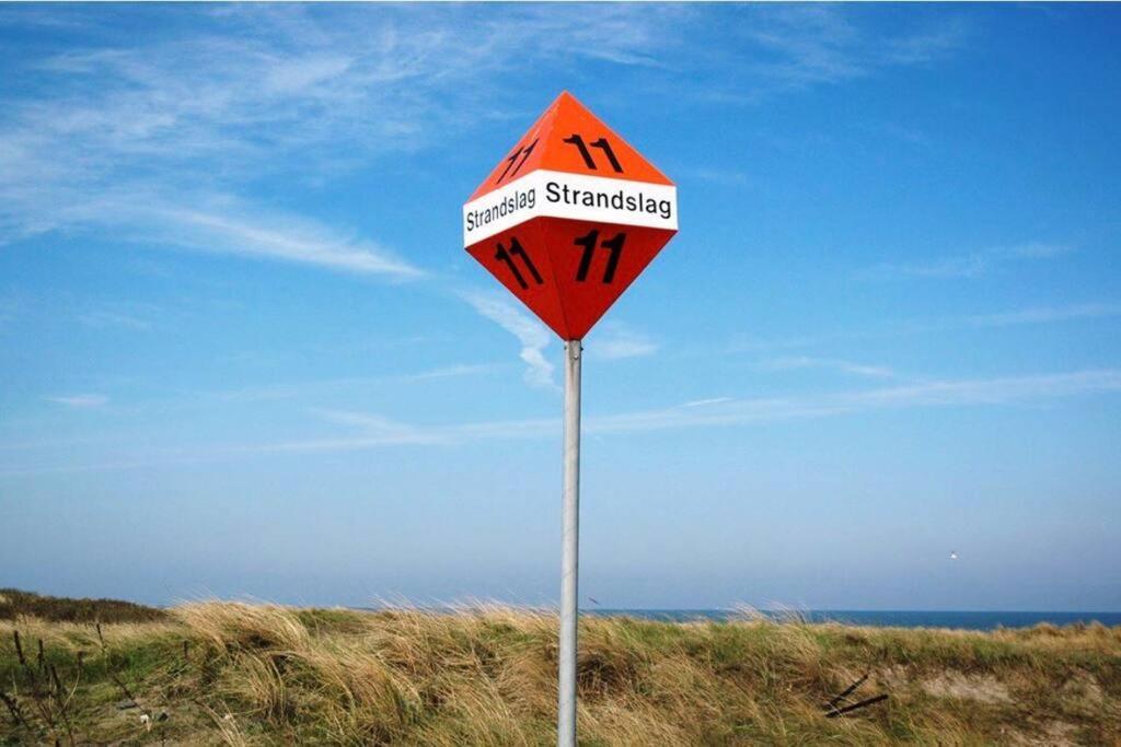 Accommodatie bij particulieren 5stars In A Shared Flat By The Beach, The Dunes And The Harbor *