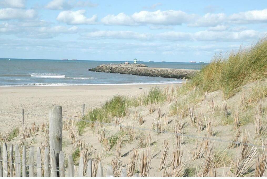 5stars In A Shared Flat By The Beach, The Dunes And The Harbor