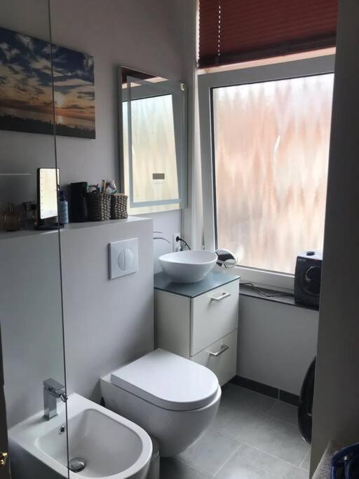 Privatunterkunft 5stars In A Shared Flat By The Beach, The Dunes And The Harbor Den Haag