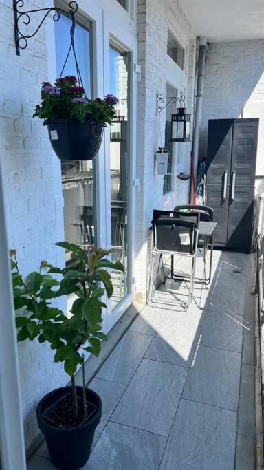 5stars In A Shared Flat By The Beach, The Dunes And The Harbor Den Haag