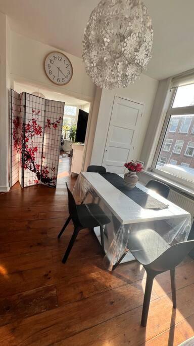 Privatunterkunft 5stars In A Shared Flat By The Beach, The Dunes And The Harbor Den Haag