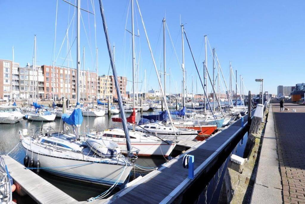5stars In A Shared Flat By The Beach, The Dunes And The Harbor Privatunterkunft *